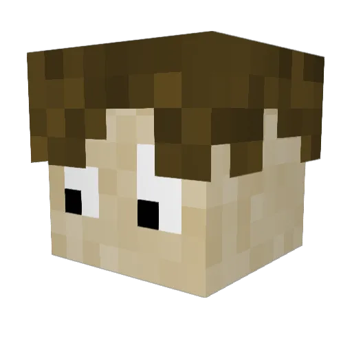 FitzG_ Minecraft avatar head, 3D render