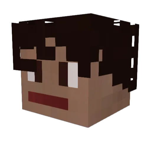 FitzRoyALPIN Minecraft avatar head, 3D render