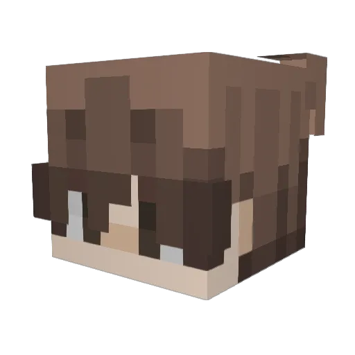 Fitzau_ Minecraft avatar head, 3D render