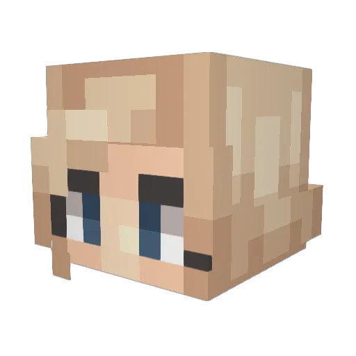 Fitzmoo Minecraft avatar head, 3D render