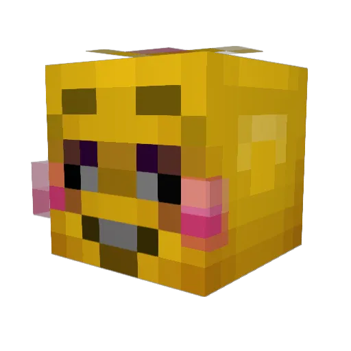 Fitzry1 Minecraft avatar head, 3D render