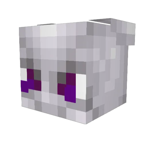 Fitzyy Minecraft avatar head, 3D render