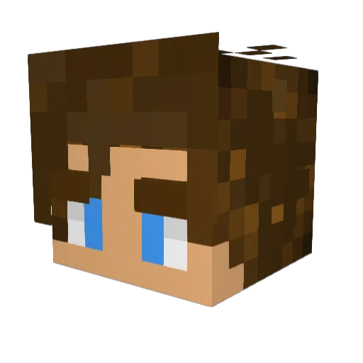 Fiui Minecraft avatar head, 3D render