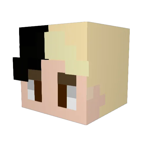 Fiustix Minecraft avatar head, 3D render