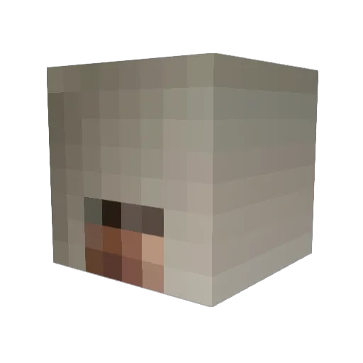 FiveElevenBP Minecraft avatar head, 3D render
