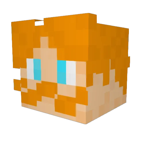 FiveTillBingo Minecraft avatar head, 3D render