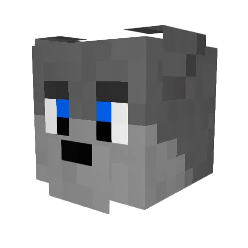 FiveZzZzZz Minecraft avatar head, 3D render