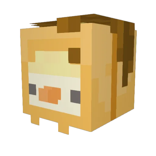 Five_Gnomes Minecraft avatar head, 3D render