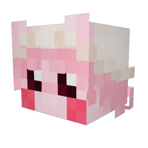 Fivepoint Minecraft avatar head, 3D render