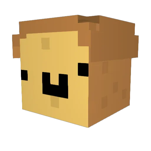 Fiveponies Minecraft avatar head, 3D render