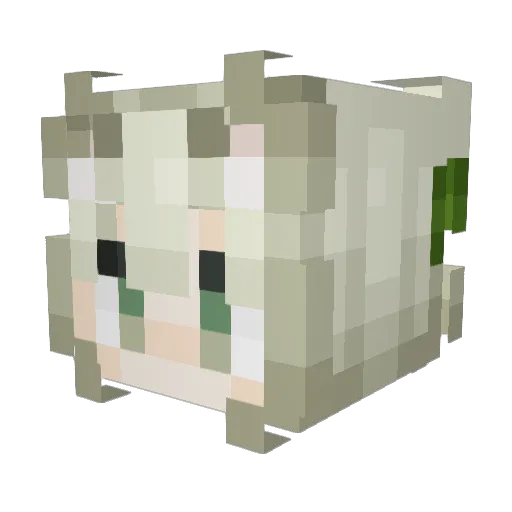 Fivereni502 Minecraft avatar head, 3D render