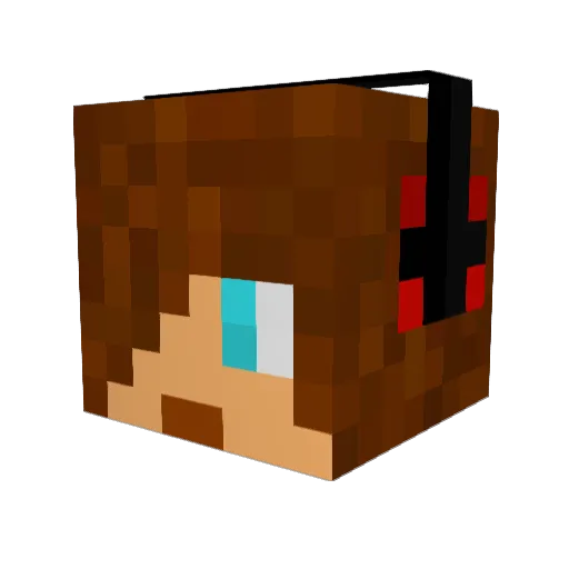Fivers29 Minecraft avatar head, 3D render