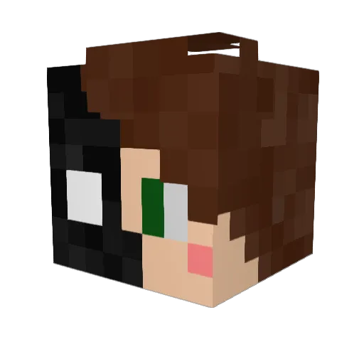 Fives_SD Minecraft avatar head, 3D render