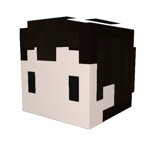 Fiw Minecraft avatar head, 3D render