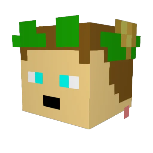 Fix888592 Minecraft avatar head, 3D render