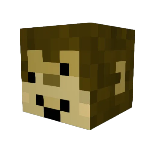 FixMoo Minecraft avatar head, 3D render