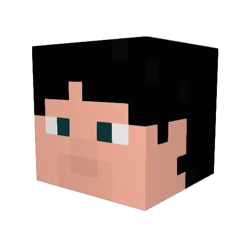 FixYourAct Minecraft avatar head, 3D render