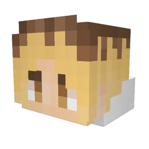 FixedPurse90983 Minecraft avatar head, 3D render