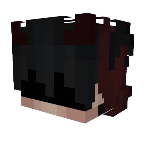 Fixsanity Minecraft avatar head, 3D render