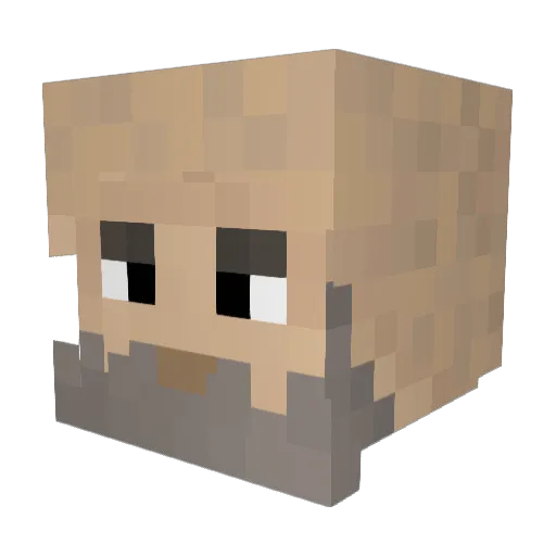 Fixxitt412 Minecraft avatar head, 3D render