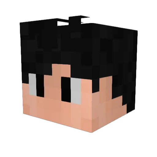 FixzReserva Minecraft avatar head, 3D render