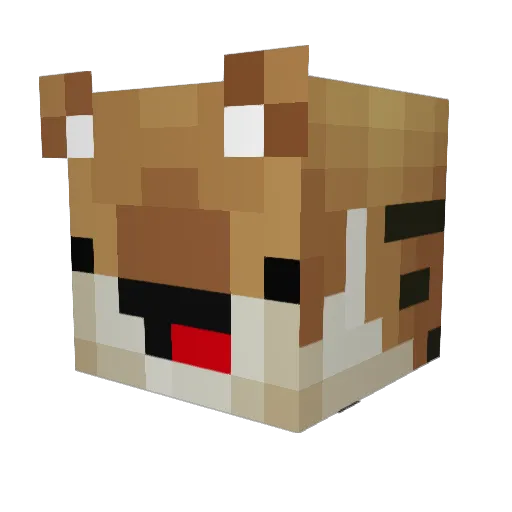 FiyaTiger Minecraft avatar head, 3D render