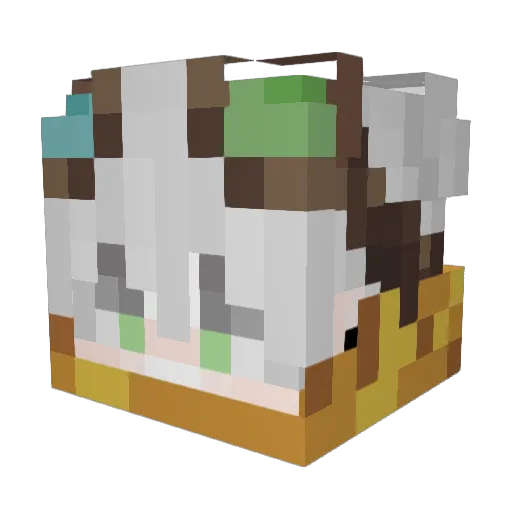 Fizarius1610 Minecraft avatar head, 3D render