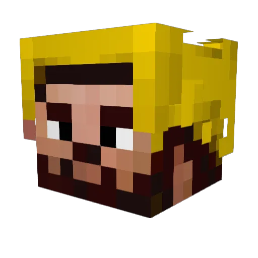 Fizenberg Minecraft avatar head, 3D render