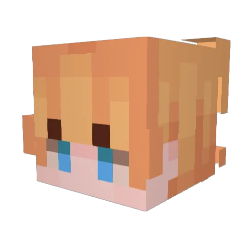Fizty Minecraft avatar head, 3D render