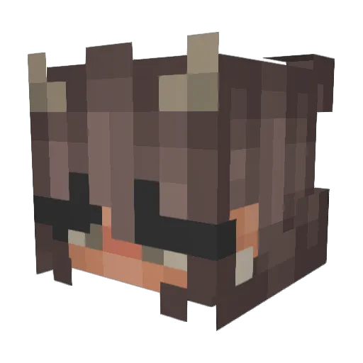 FizzSticks89 Minecraft avatar head, 3D render