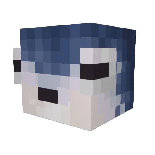 Fizzer_4 Minecraft avatar head, 3D render