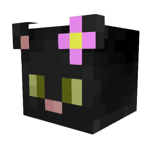 Fizzgig96 Minecraft avatar head, 3D render