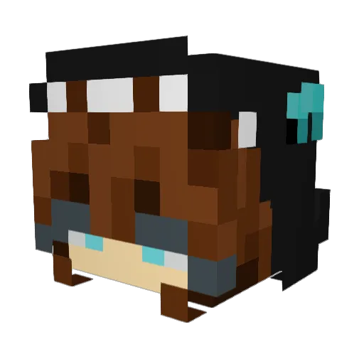 FizzieFrog Minecraft avatar head, 3D render