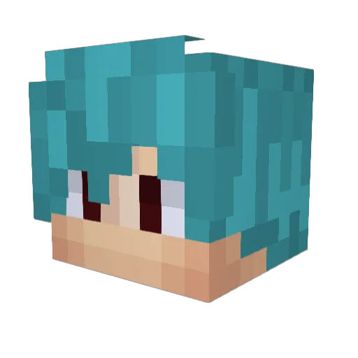 Fizzik17 Minecraft avatar head, 3D render