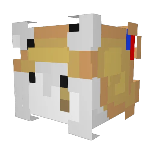 Fizzle_exe Minecraft avatar head, 3D render