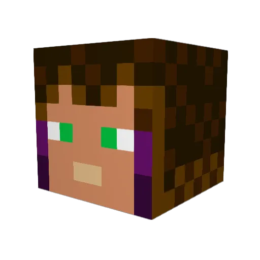 Fizzlebug Minecraft avatar head, 3D render