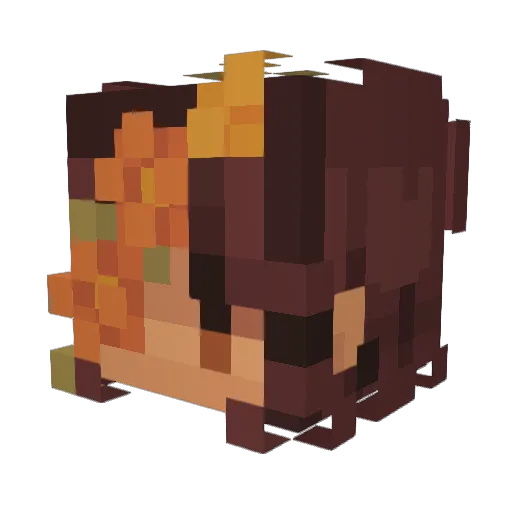 FizzledCrow Minecraft avatar head, 3D render