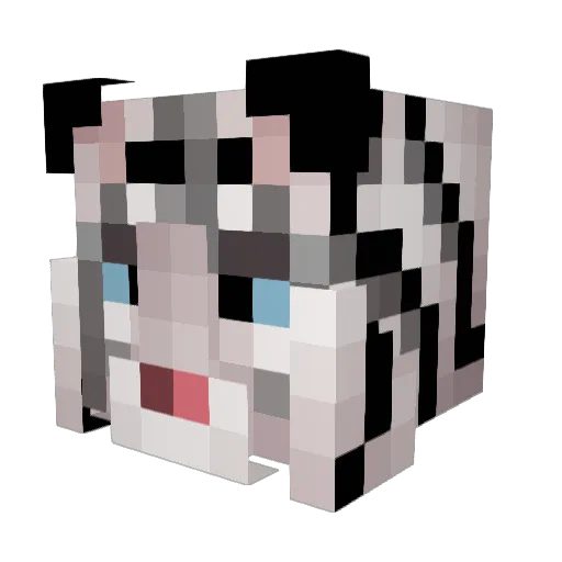 FizzledUp Minecraft avatar head, 3D render