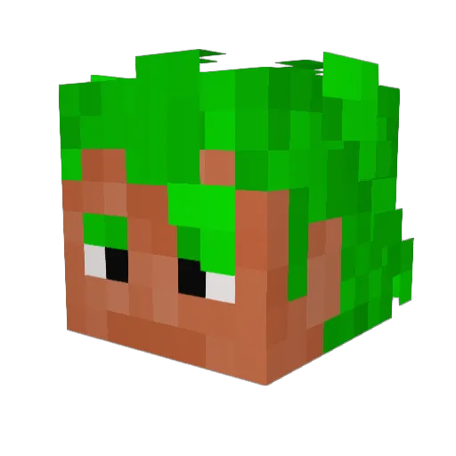 Fizzy296 Minecraft avatar head, 3D render