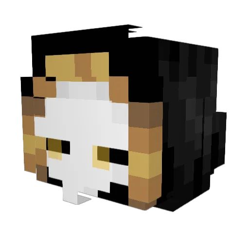 FizzyBallz Minecraft avatar head, 3D render