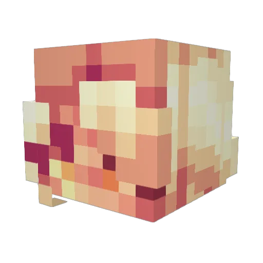 FizzyBerriess Minecraft avatar head, 3D render