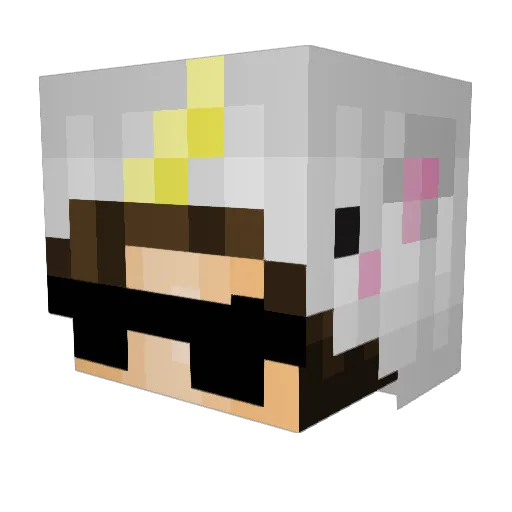 FizzyBerryGHG Minecraft avatar head, 3D render