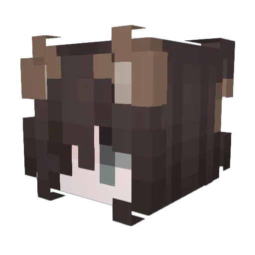 FizzyBrain Minecraft avatar head, 3D render