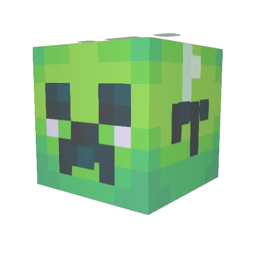 FizzyCatx Minecraft avatar head, 3D render