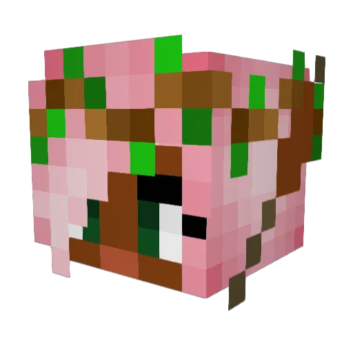 FizzyCraft101 Minecraft avatar head, 3D render