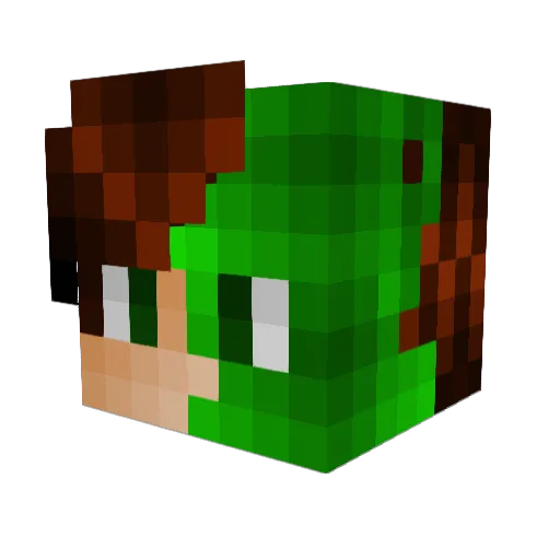 FizzyOneLove Minecraft avatar head, 3D render