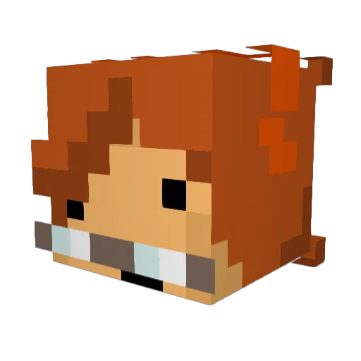 FizzyPOP13 Minecraft avatar head, 3D render