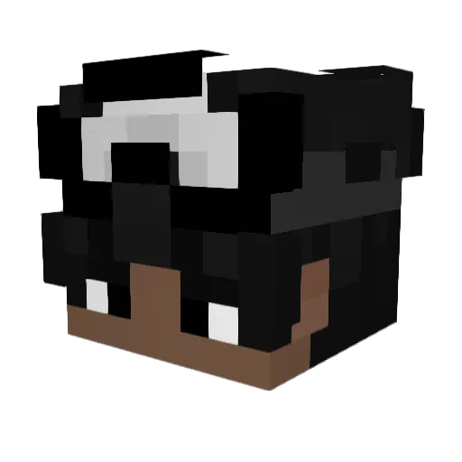 FizzyPop_540 Minecraft avatar head, 3D render