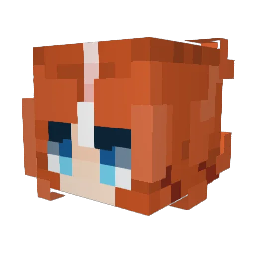 FizzyShadows Minecraft avatar head, 3D render