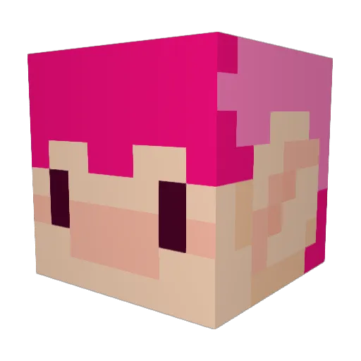 FizzySketchy Minecraft avatar head, 3D render
